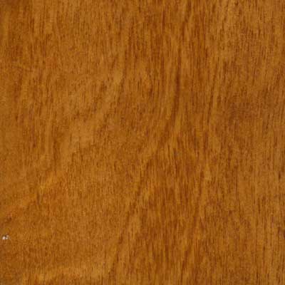 Mannington Mannington Castle Rock Butternut Birch (Sample) Hardwood Flooring