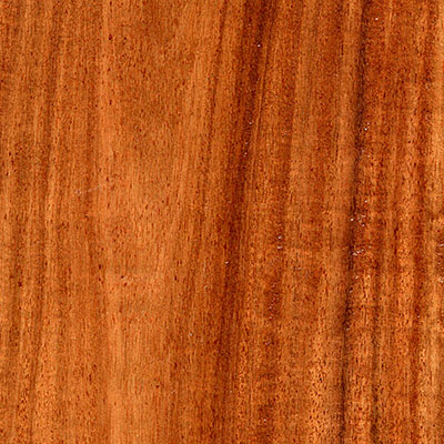 Stepco Stepco Acacia Multi-Width Caja Hardwood Flooring
